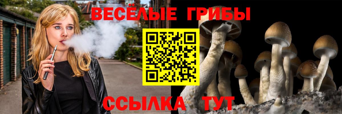 Галлюциногенные грибы мухоморы Владимир